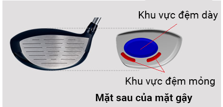 Mặt sau của gậy