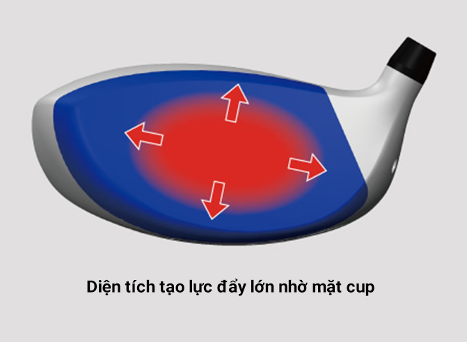 Diện tích tạo lực đẩy lớn nhờ mặt cup